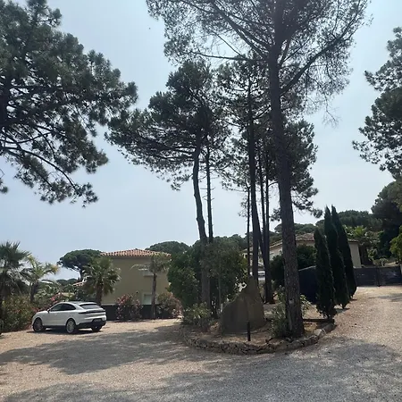 Azzurra *